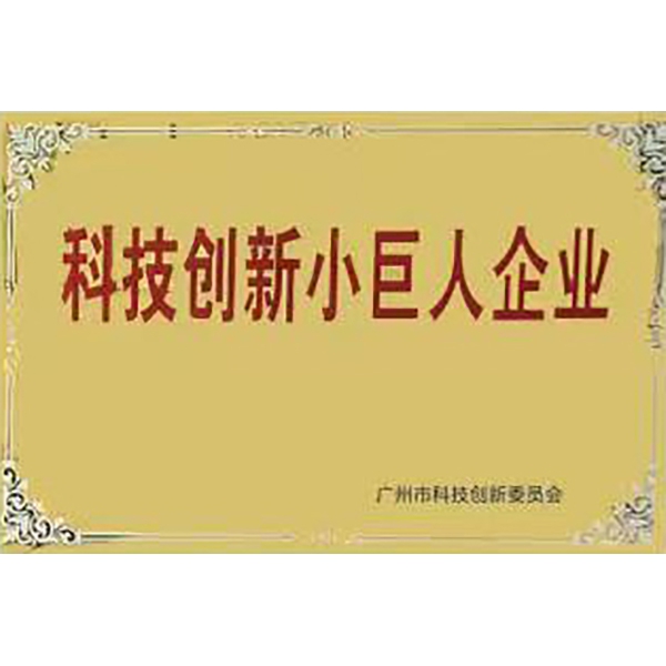 科技创新小巨人企业